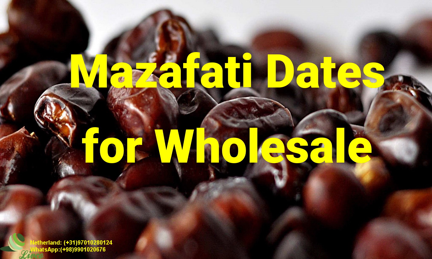 Mazafati Dates wholesale,www.livco.eu