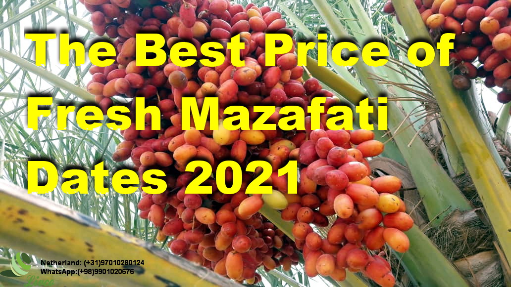 best mazafati dates price 2021,www.livco.eu